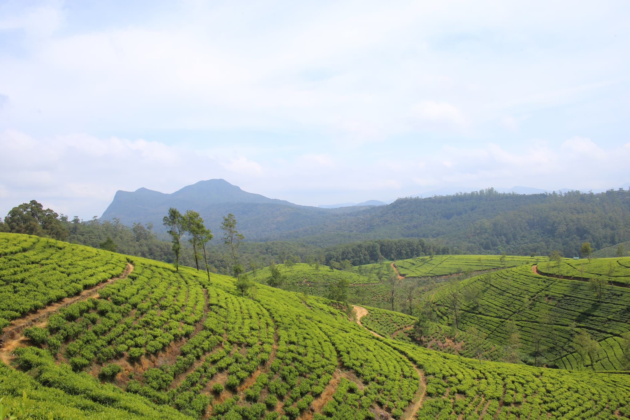 Sri Lankan scenic landscapes 1