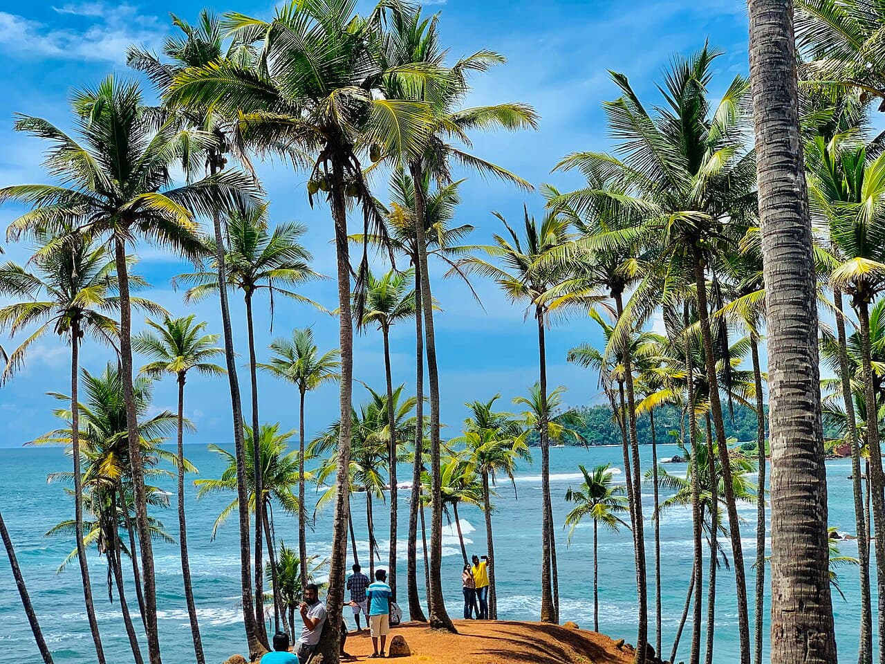Coconut Tree Hill, Mirissa — The Island Tour Gallery
