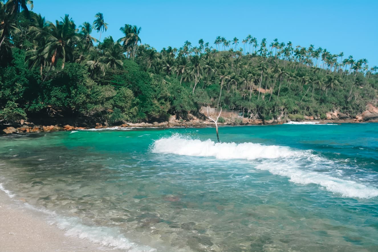 Golden Beaches & Surf