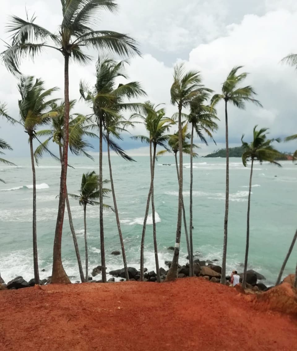 Mirissa Beach, Whales & Surf