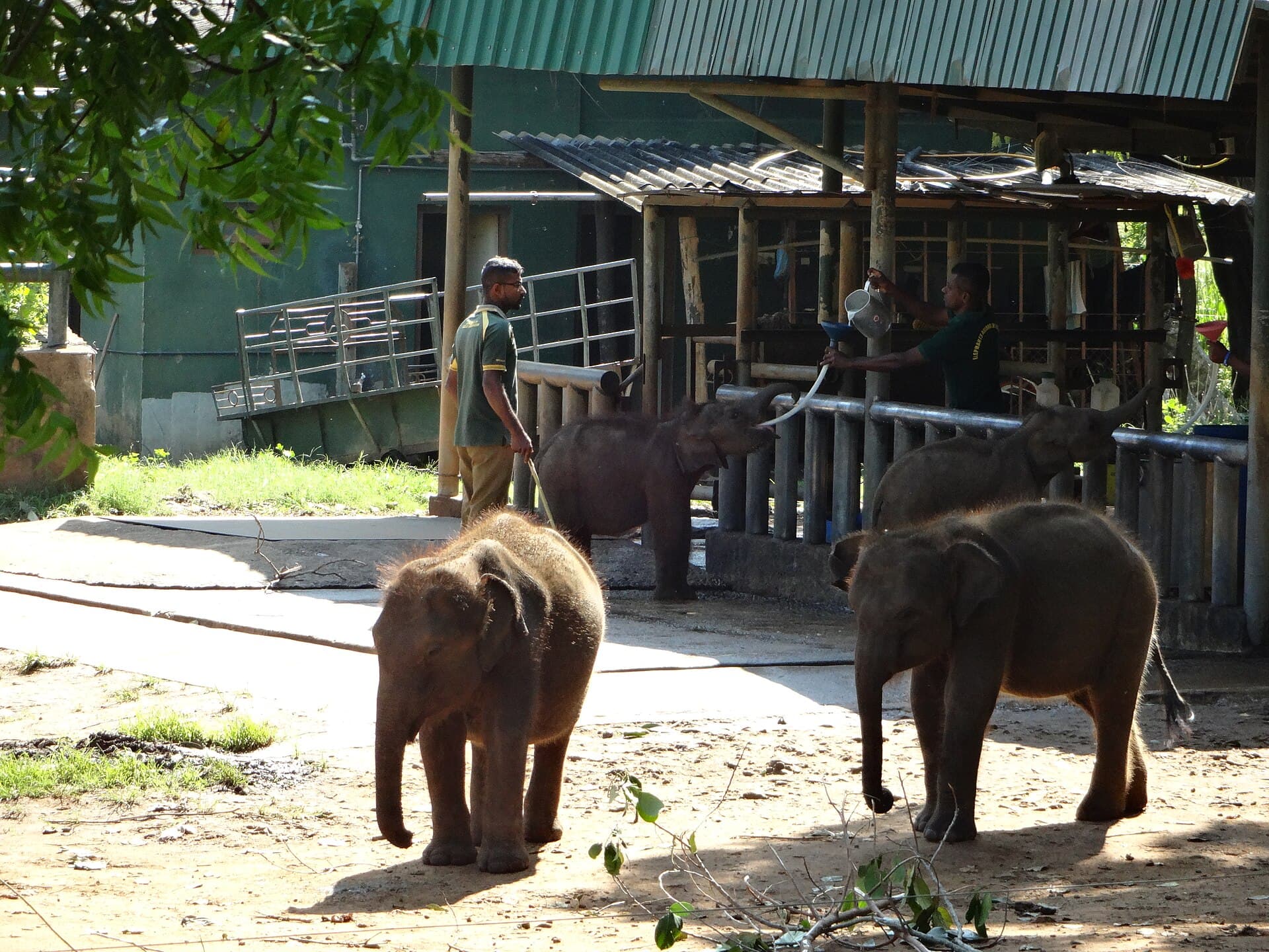 Sri Lanka Family Adventure